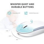 iClever Ergonomic Wireless Keyboard and Mouse Combo