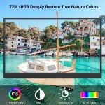 15.6" FHD Portable Monitor with USB-C/HDMI