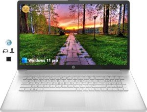 HP 17.3" FHD Business Laptop, 32GB RAM, 1TB SSD