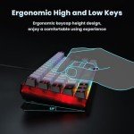 Compact 65% RGB Gaming Keyboard for PC/Mac