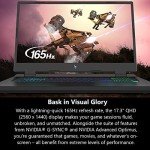 Acer Nitro 17 Gaming Laptop with Ryzen 7 & RTX 4060