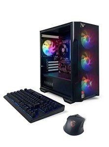 NSX Gaming Raptor Desktop PC with RGB Fans