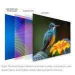 SYLVOX 55'' Outdoor Waterproof 4K QLED TV