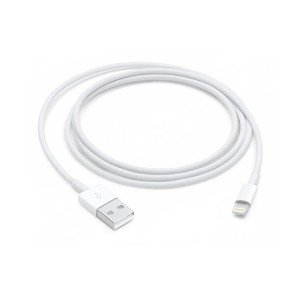 Apple 1m Lightning to USB Charging Cable