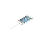 Apple 1m Lightning to USB Charging Cable