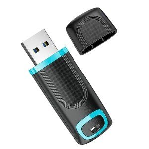 RAOYI 256GB USB 3.0 High-Speed Flash Drive