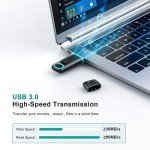 RAOYI 256GB USB 3.0 High-Speed Flash Drive