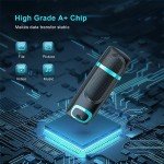 RAOYI 256GB USB 3.0 High-Speed Flash Drive