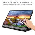 ASUS ZenScreen 15.6" Full HD Touch Monitor