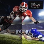 Acer 49" 1800R Curved Gaming Monitor