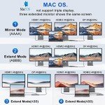 13 in 1 USB C Docking Station - Dual Monitor, Triple Display, 8 USB C/A Ports, Ethernet, Audio - For MacBook, Dell, HP, Lenovo, Surface