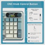 RK Royal Kludge S98 Wireless Mechanical Keyboard