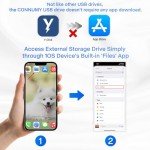 LANSLSY 256GB 3-in-1 Flash Drive for iPhone