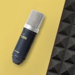 Marantz MPM-1000 XLR Condenser Microphone Bundle