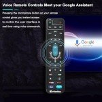 WALLECOM vSeeBox V2 Pro Android TV Box & Remote