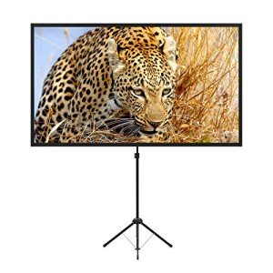 80-Inch Portable Projector Screen with Stand