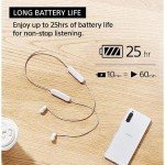Sony WI-C100 Bluetooth Wireless In-Ear Headphones