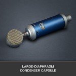 Blue Microphone Bluebird SL Condenser Microphone Bundle