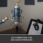 Blue Microphone Bluebird SL Condenser Microphone Bundle