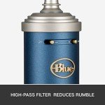 Blue Microphone Bluebird SL Condenser Microphone Bundle