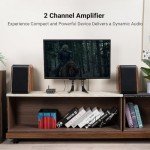 Fosi Audio BT20A Bluetooth Mini Stereo Amplifier