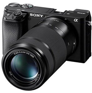 Sony Alpha A6100 Mirrorless Camera with Zoom Lenses