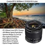 Canon EOS Rebel T7 DSLR Camera Bundle with Lenses