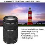 Canon EOS Rebel T7 DSLR Camera Bundle with Lenses