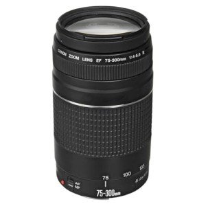 Canon EF 75-300mm Telephoto Zoom Lens