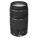 Canon EF 75-300mm Telephoto Zoom Lens