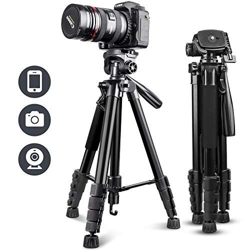 Tripods & Monopods