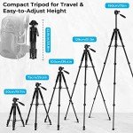 ZIKZOK 75" Lightweight Travel Tripod for Cameras