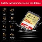 SanDisk 256GB Extreme SDXC Memory Card - 4K UHD