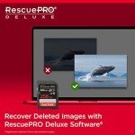 SanDisk 256GB Extreme PRO SDXC Memory Card