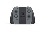 Nintendo Switch with Gray Joy-Con Controller