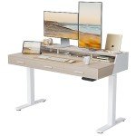 FEZIBO 55-Inch Adjustable Electric Standing Desk