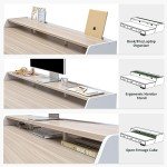 FEZIBO 55-Inch Adjustable Electric Standing Desk