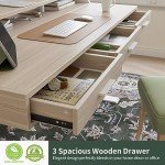 FEZIBO 55-Inch Adjustable Electric Standing Desk