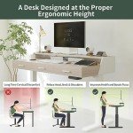 FEZIBO 55-Inch Adjustable Electric Standing Desk