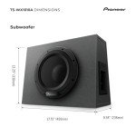 Pioneer 10" Active Subwoofer with Built-In Amplifier