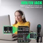 4-Channel Audio Mixer with Dual Wireless Mics