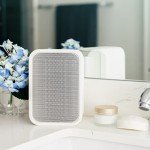 Bluesound Pulse Flex 2i Portable Wireless Smart Speaker