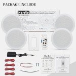 Herdio 5.25" Bluetooth Ceiling Speakers with Amplifier
