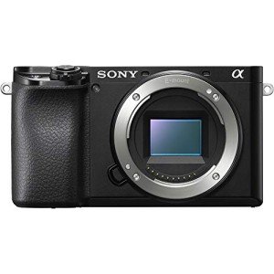 Sony Alpha A6100 Compact Mirrorless Camera