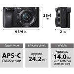 Sony Alpha A6100 Compact Mirrorless Camera