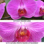 Altura Photo 55MM HD Wide Angle Lens for Nikon