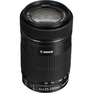 Canon EF-S 55-250mm F4-5.6 IS Lens