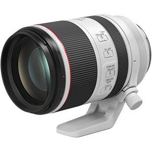 Canon RF 70-200mm F2.8 L Telephoto Lens