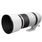 Canon RF 100-500mm Super-Telephoto Zoom Lens
