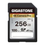 GIGASTONE 256GB 4K Memory Card - Ultra Fast